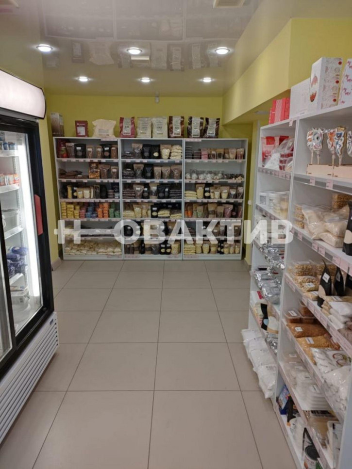 Помещение свободного назначения улица Виктора Уса, 2