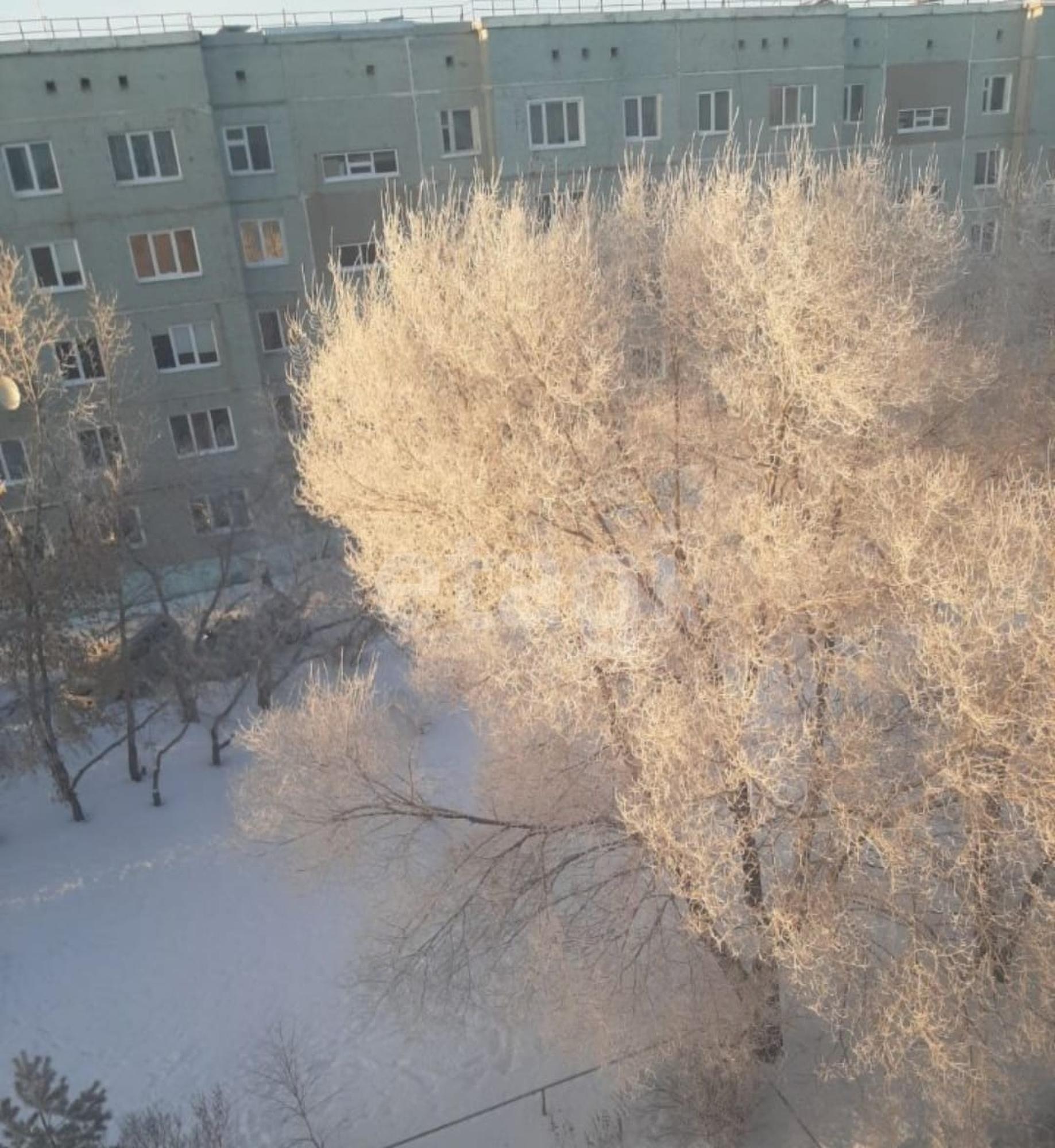 Купить квартиру за 5 100 000 рублей на Маргелова, 357