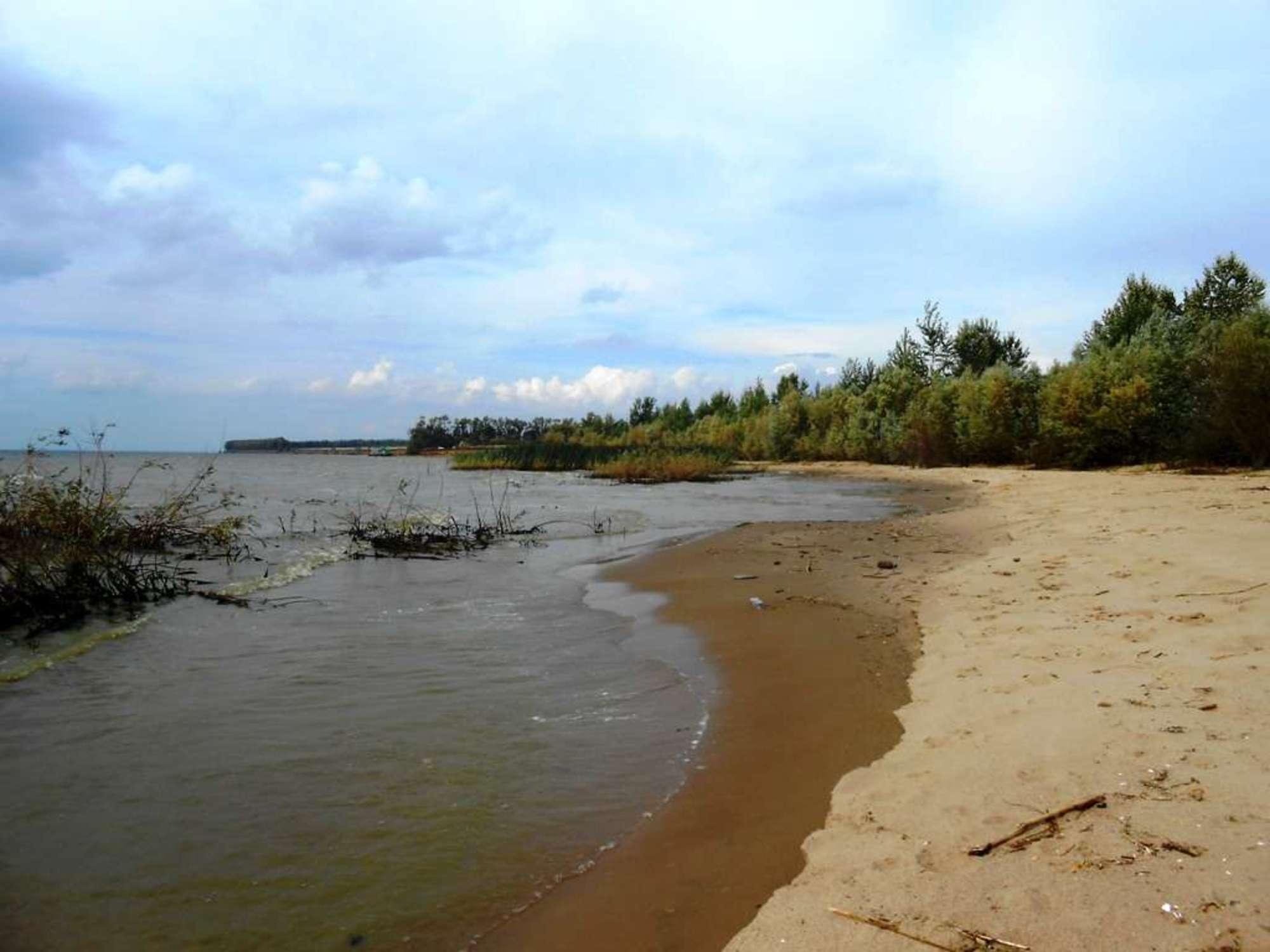 Купить землю, земельный участок за 15 000 000 рублей на Хрящевка село