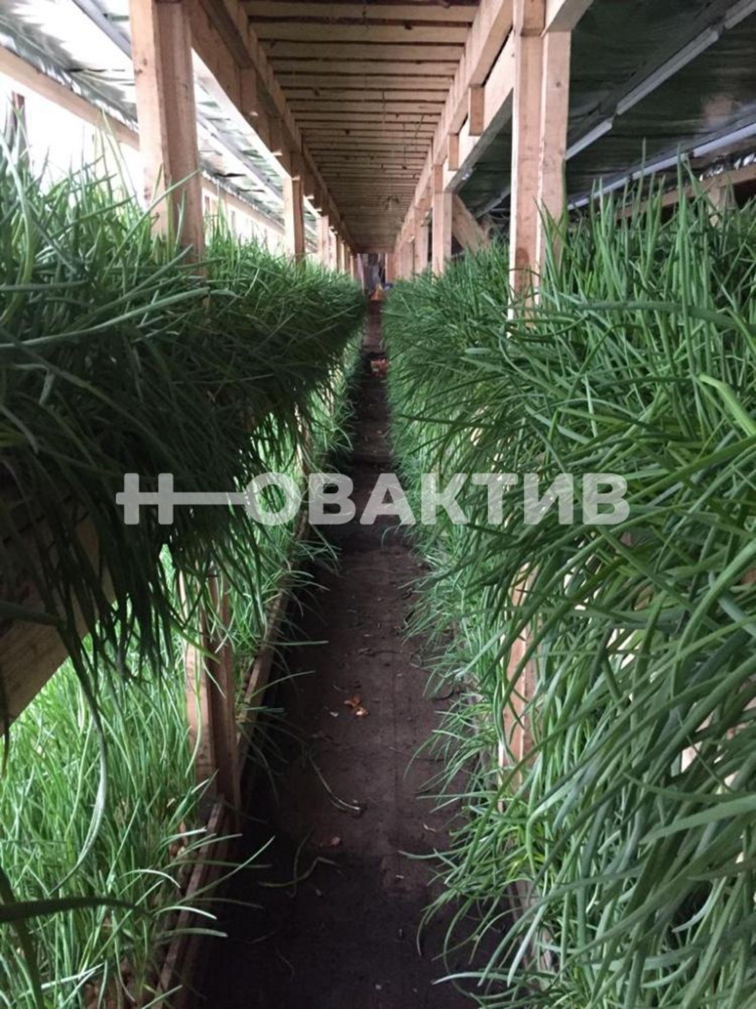 Сдать производственную площадь за 150 000 рублей на улица Центральная, 15
