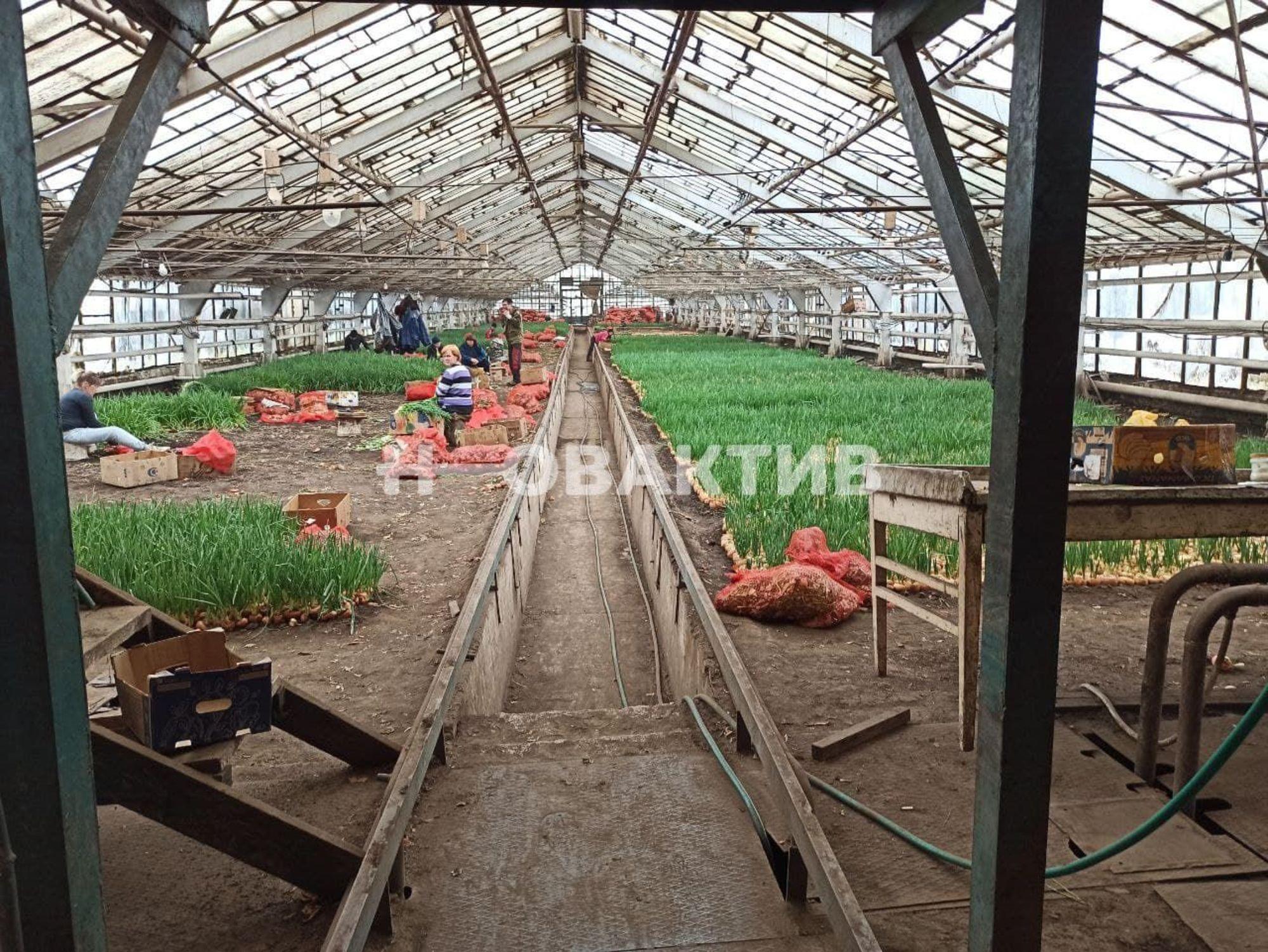 Сдать производственную площадь за 150 000 рублей на улица Центральная, 15