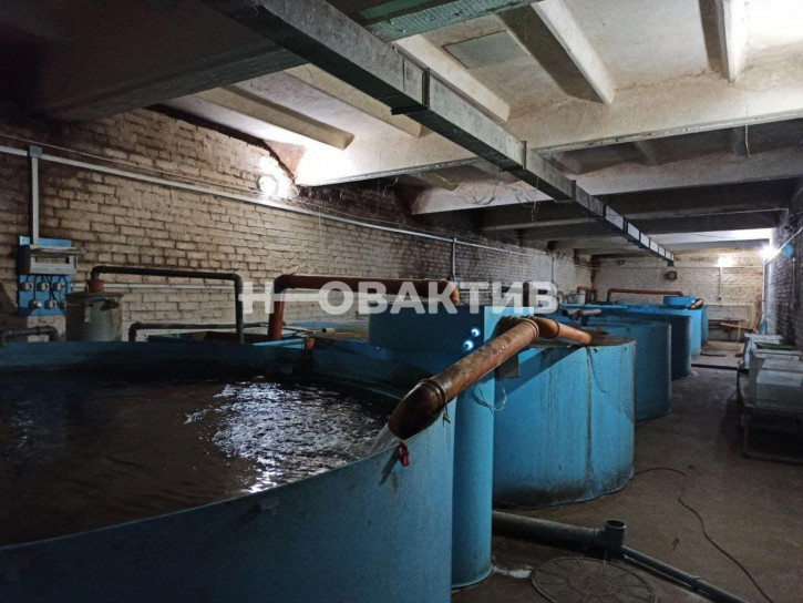 Производственное помещение улица Центральная, 15