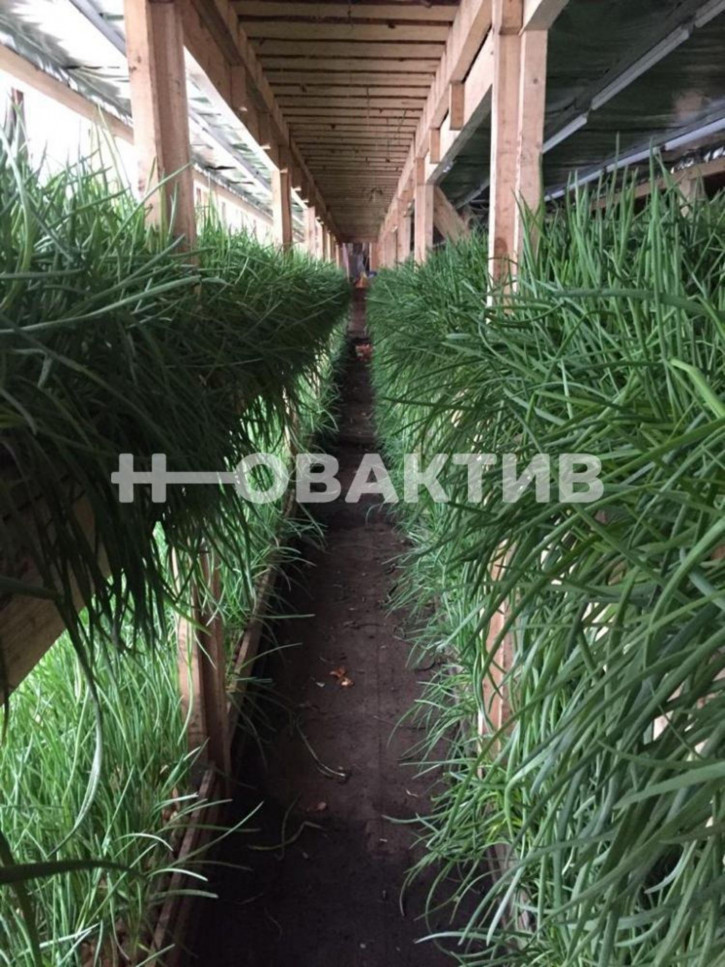 Производственное помещение улица Центральная, 15