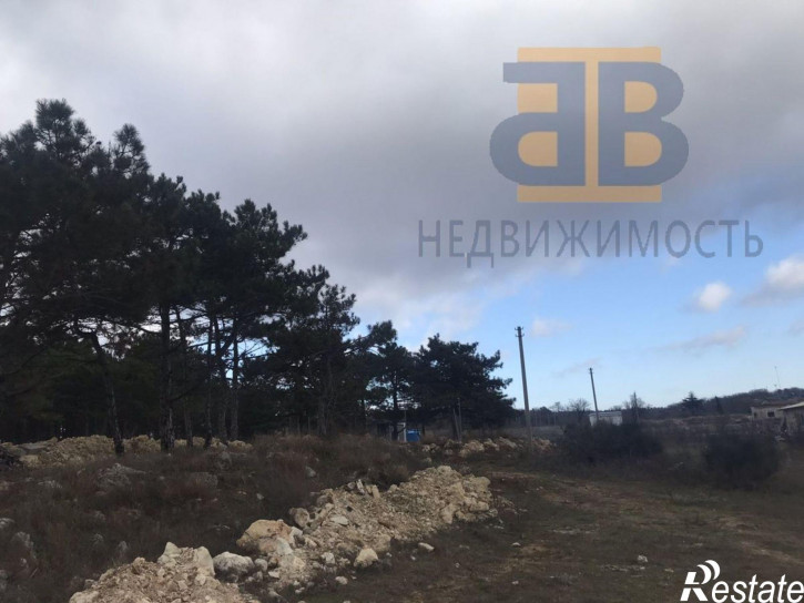 Земельный участок ТСН СНТ Рябинушка тер