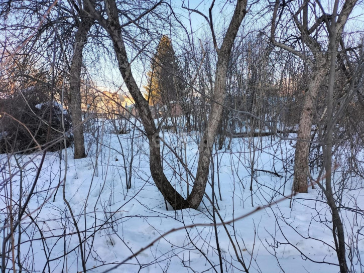 Коттедж/дом СНТ Малинка, 29