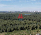 земля 10 сот д. Липовицы