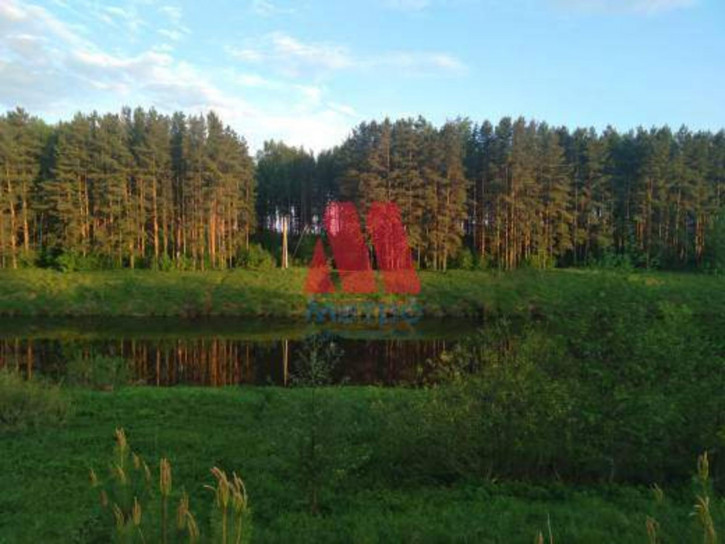 Земельный участок деревня Бели
