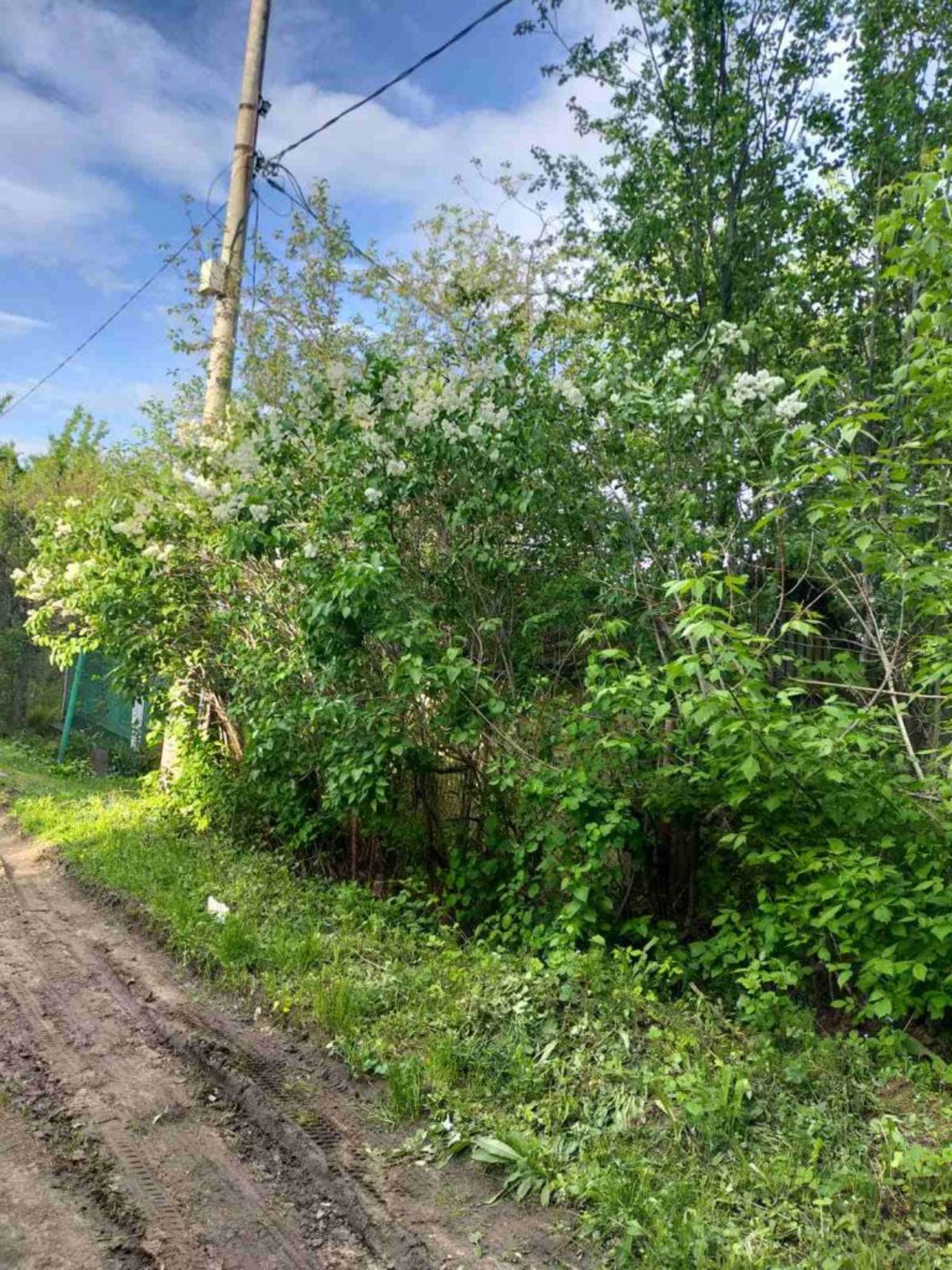 Купить землю, земельный участок за 2 000 000 рублей на Мыза ст ул, 35
