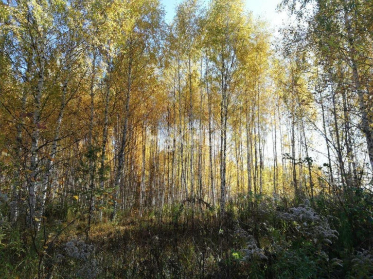 Земельный участок Марково д