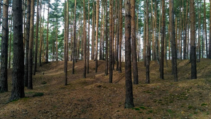 Земельный участок Заволжье территория снт
