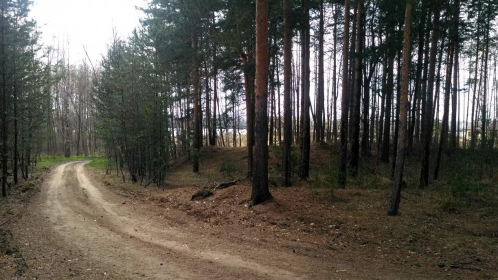 Земельный участок Заволжье территория снт