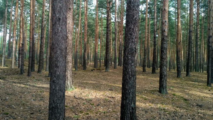 Земельный участок Заволжье территория снт