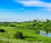 земля 15 сот , 22