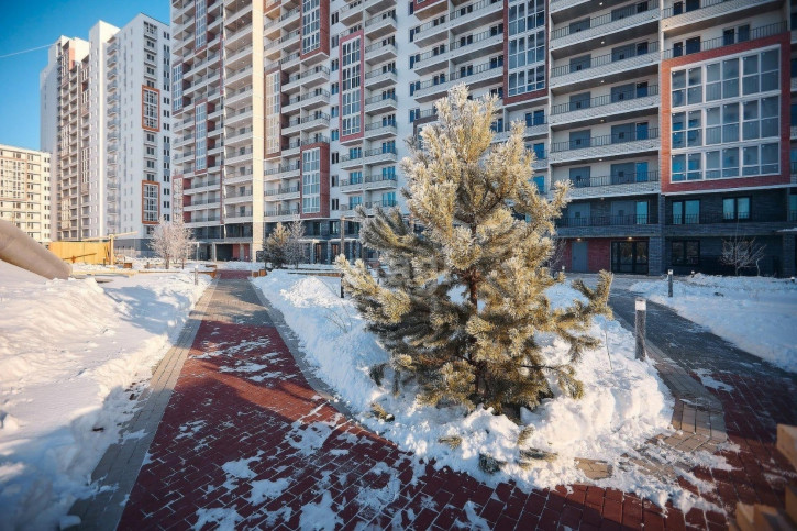 1-комн квартира Александра Пушкина, 14