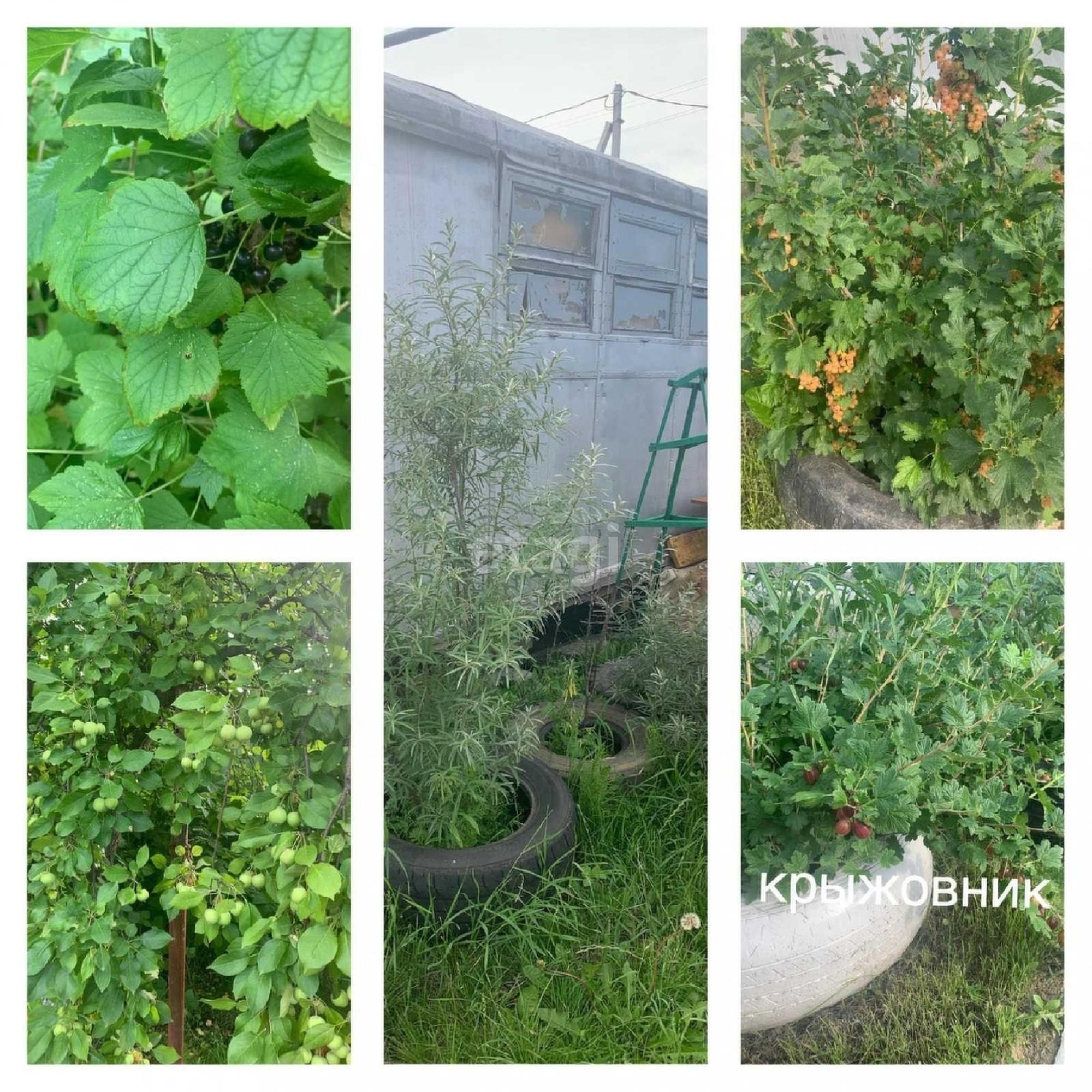 Купить дачу, дом, коттедж за 4 600 000 рублей на Мичурина,