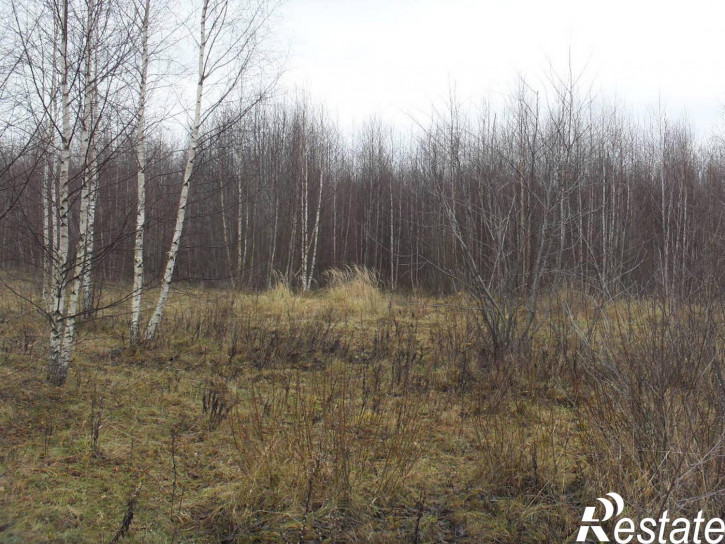 Земельный участок Тверская область, Калязинский район, дер. Волнога