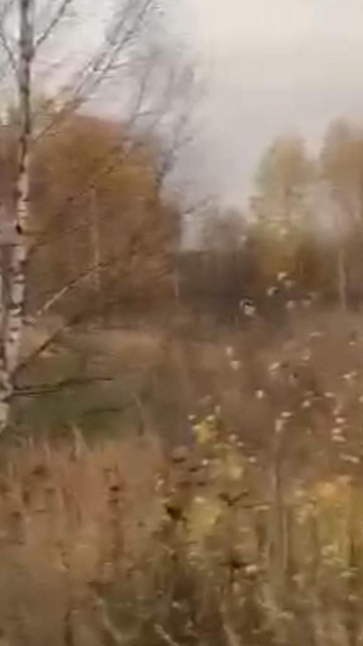 Земельный участок Ушаковка д