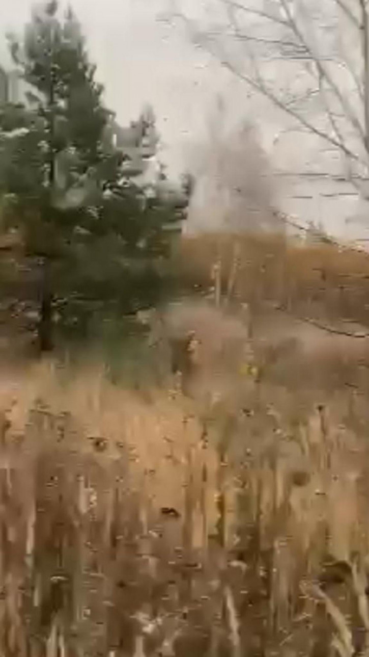 Земельный участок Ушаковка д