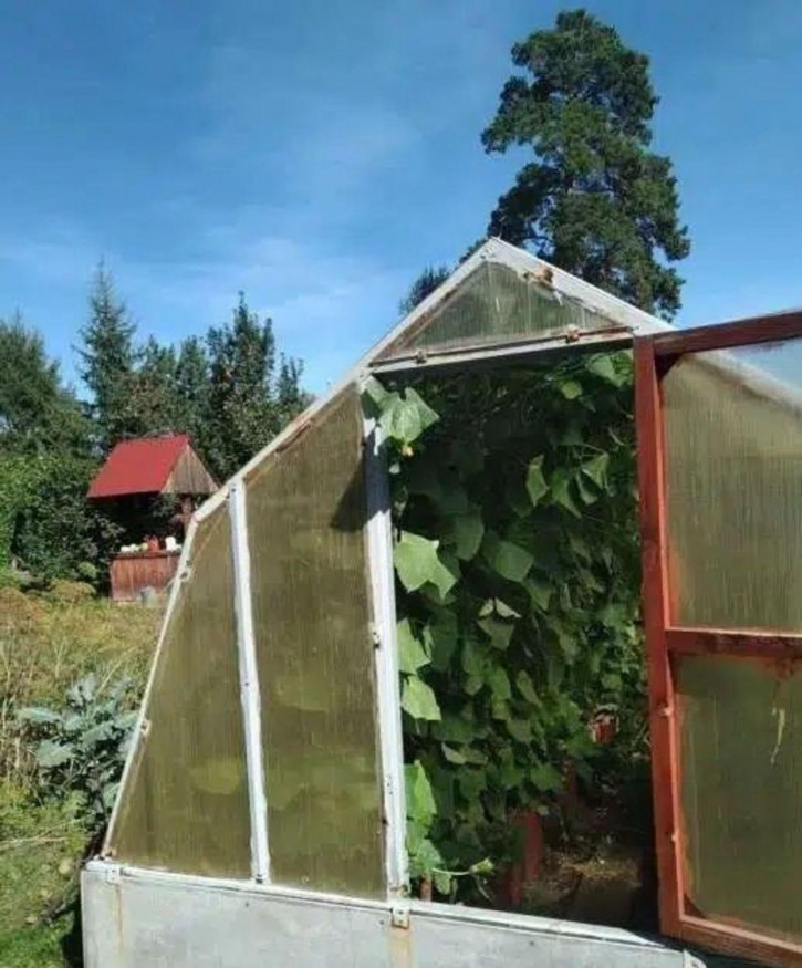 Коттедж/дом Меркурий с/о
