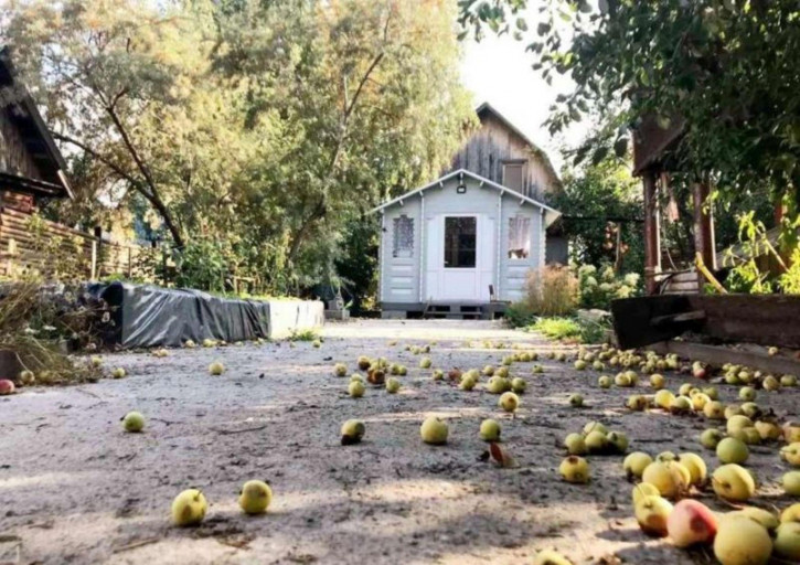Коттедж/дом Ягодное с/о
