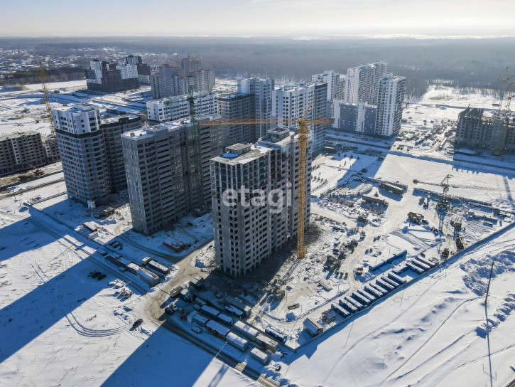 Студия Александра Пушкина, 8