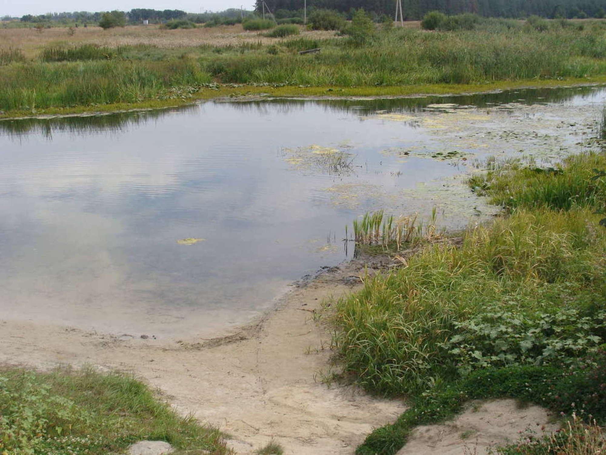 Купить землю, земельный участок за 1 900 000 рублей на Хреновое село
