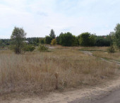 земля 30 сот Хреновое село