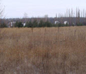 земля 9 сот Сенное село