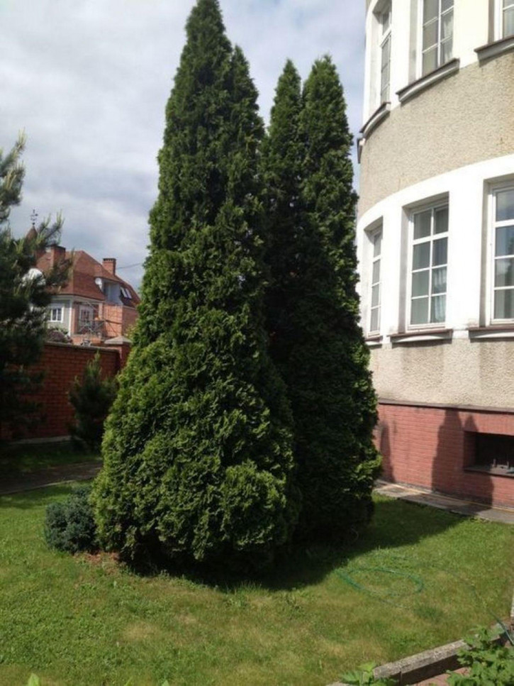 Коттедж/дом Тенистая аллея ул