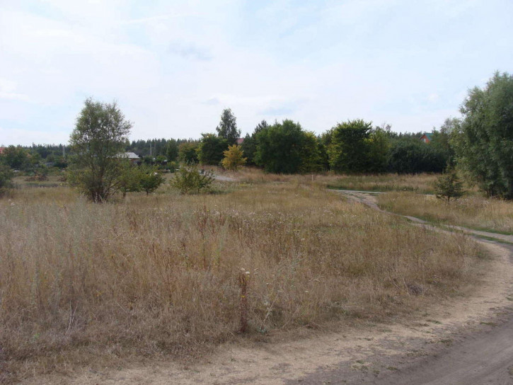 Земельный участок Хреновое село