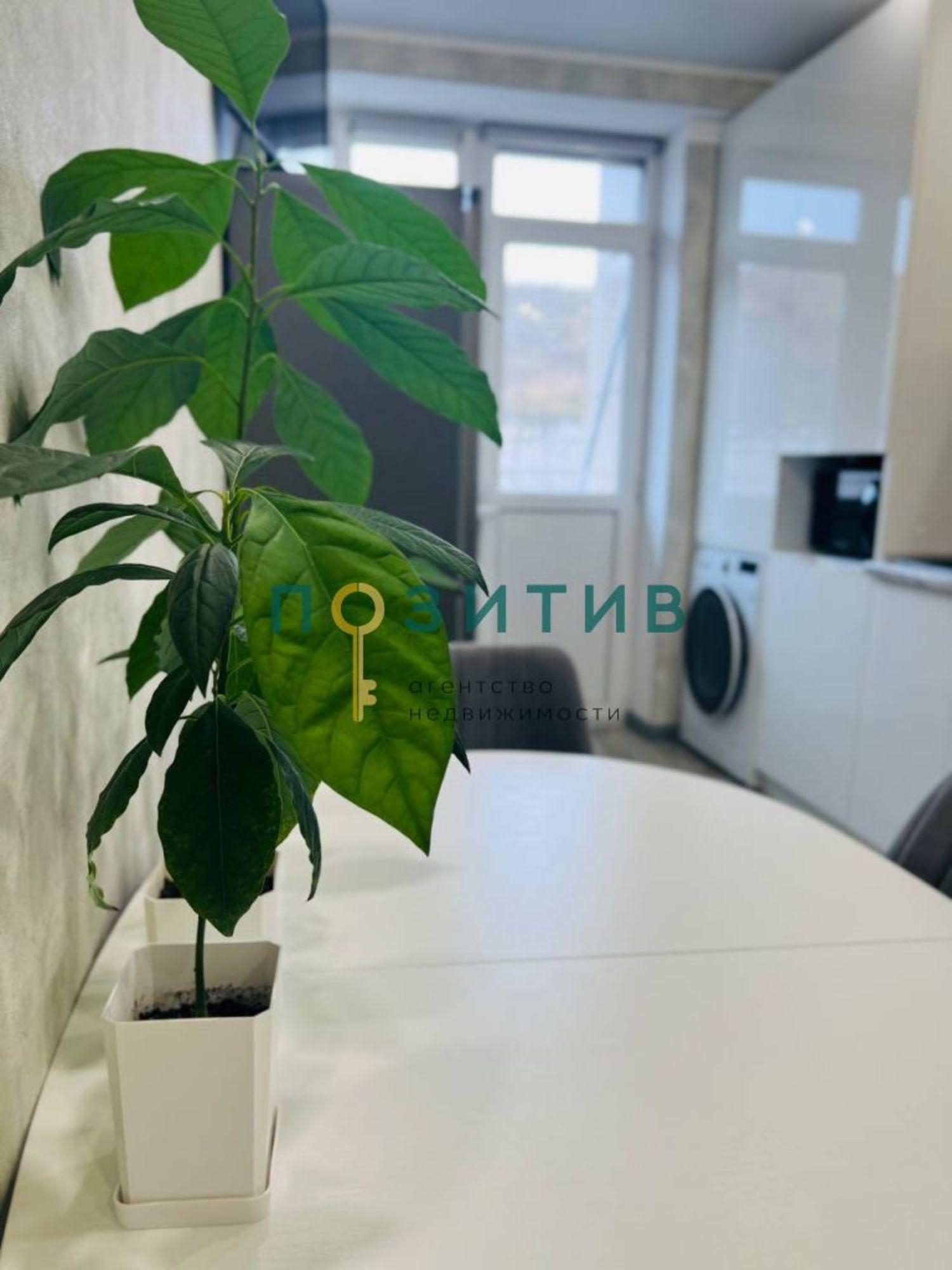 Купить квартиру за 5 500 000 рублей на Кленовая ул, 12