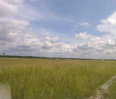 земля 400 сот деревня Речкина