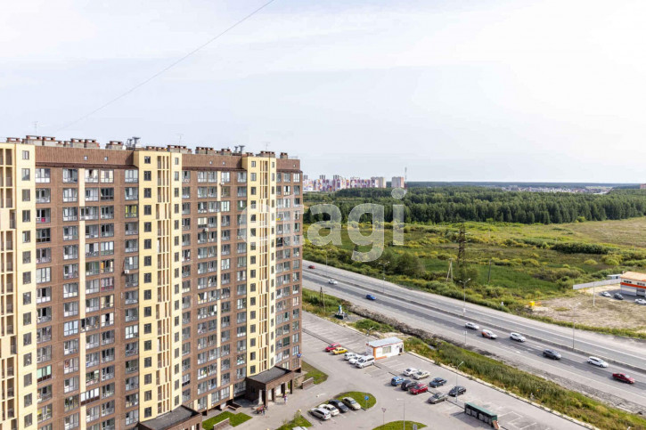 Студия Новоселов, 113