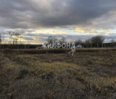 земля 10.98 сот Лучистая улица