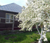 коттедж 93.1 кв м Путевая улица