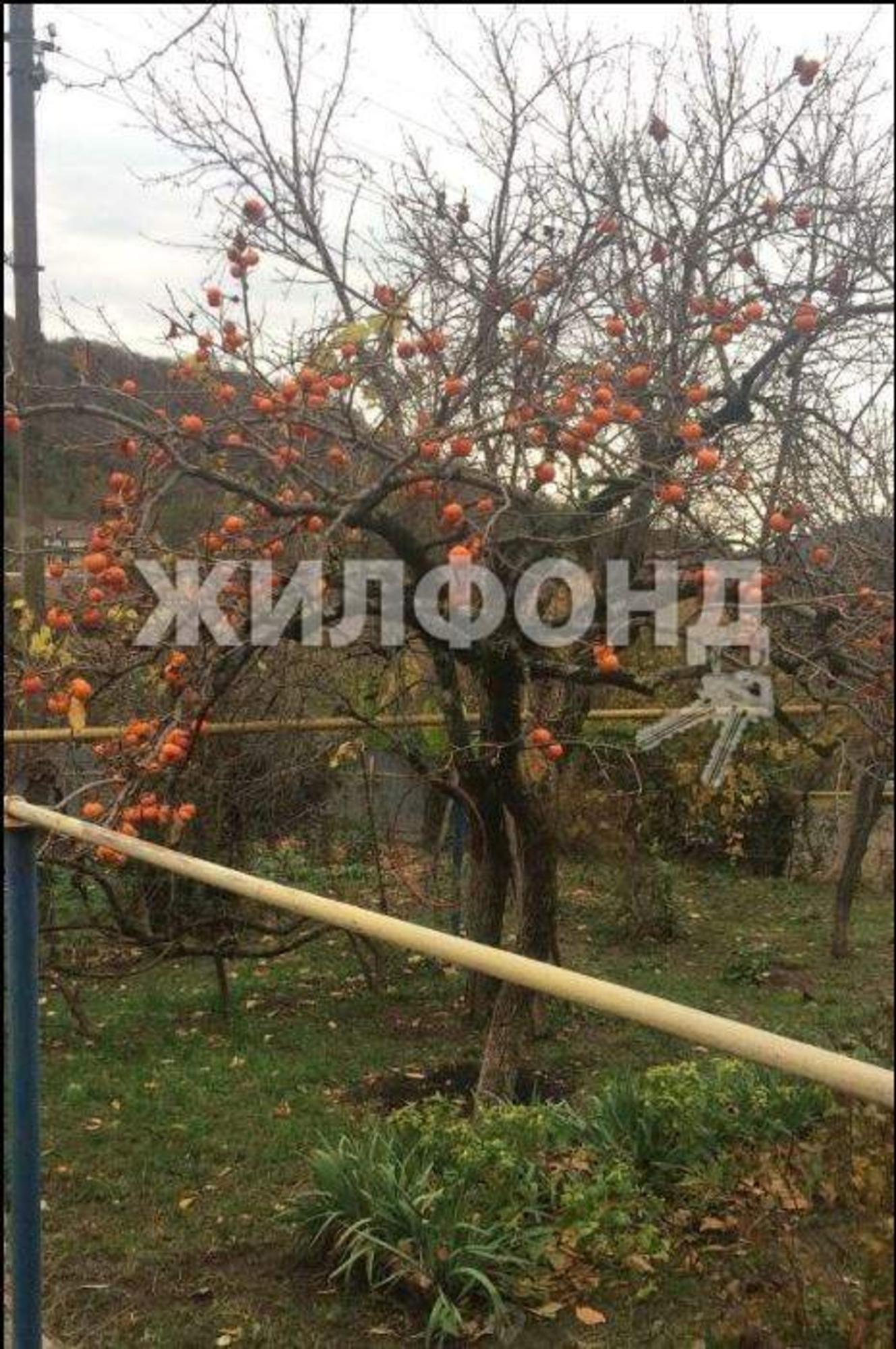 Купить дачу, дом, коттедж за 14 500 000 рублей на Ачмизова улица