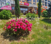 1-комн, 29кв м, этаж 12/12 Донская улица, д.108А