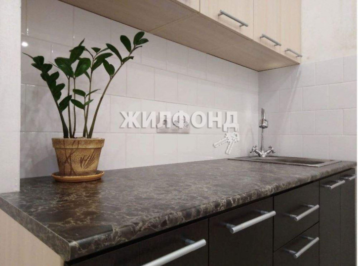 Студия Пластунская улица, д.108