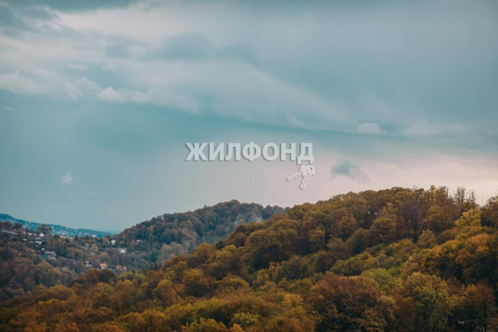 Коттедж/дом Мичурина улица