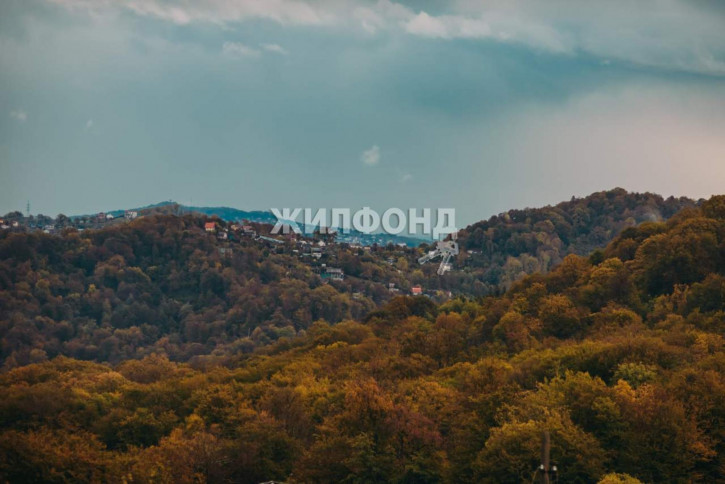 Коттедж/дом Мичурина улица