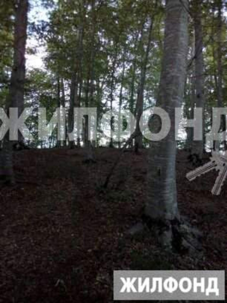 Коттедж/дом Джапаридзе улица