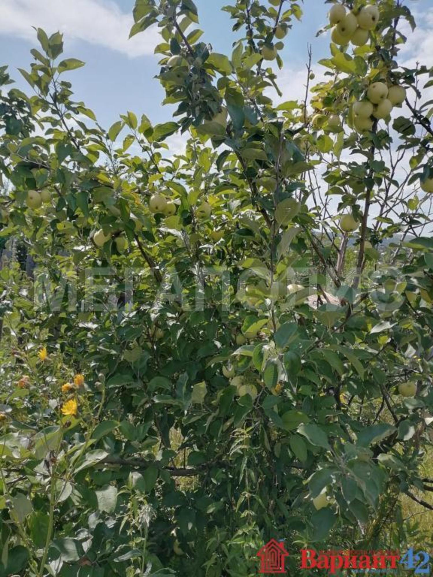 Купить дачу, дом, коттедж за 300 000 рублей на Новокузнецк