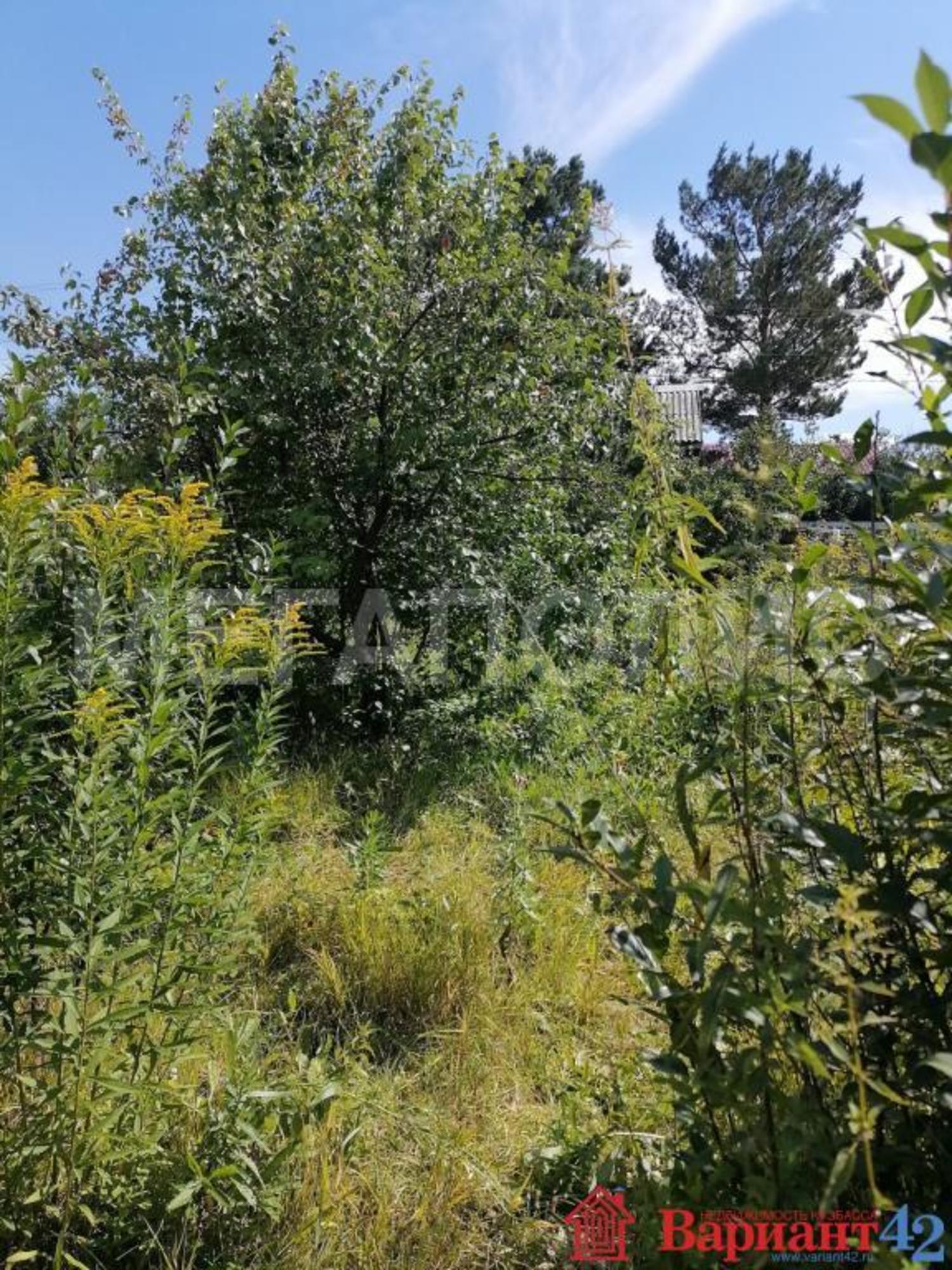 Купить дачу, дом, коттедж за 300 000 рублей на Новокузнецк