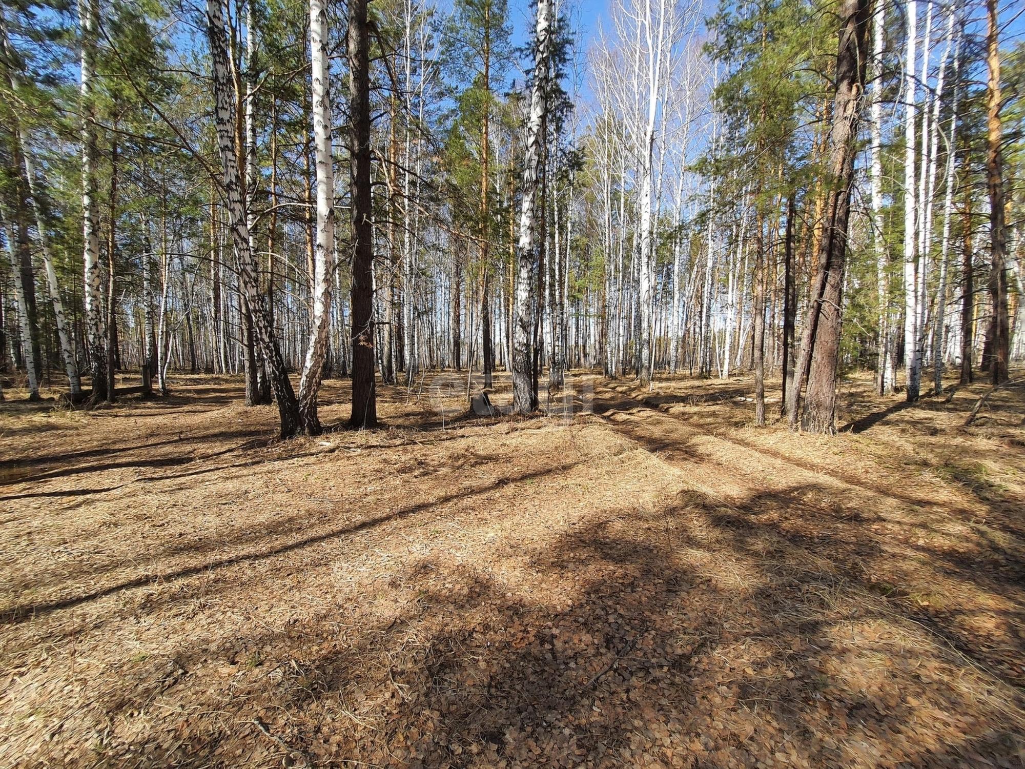 Купить землю, земельный участок за 6 495 000 рублей на Белоярский, 56