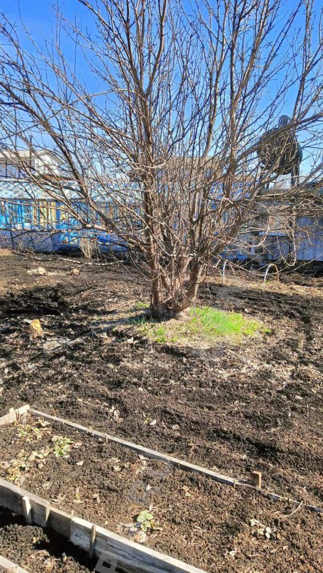 Купить дачу, дом, коттедж за 2 229 000 рублей на колл.сад. 60 лет октября 60 лет октября