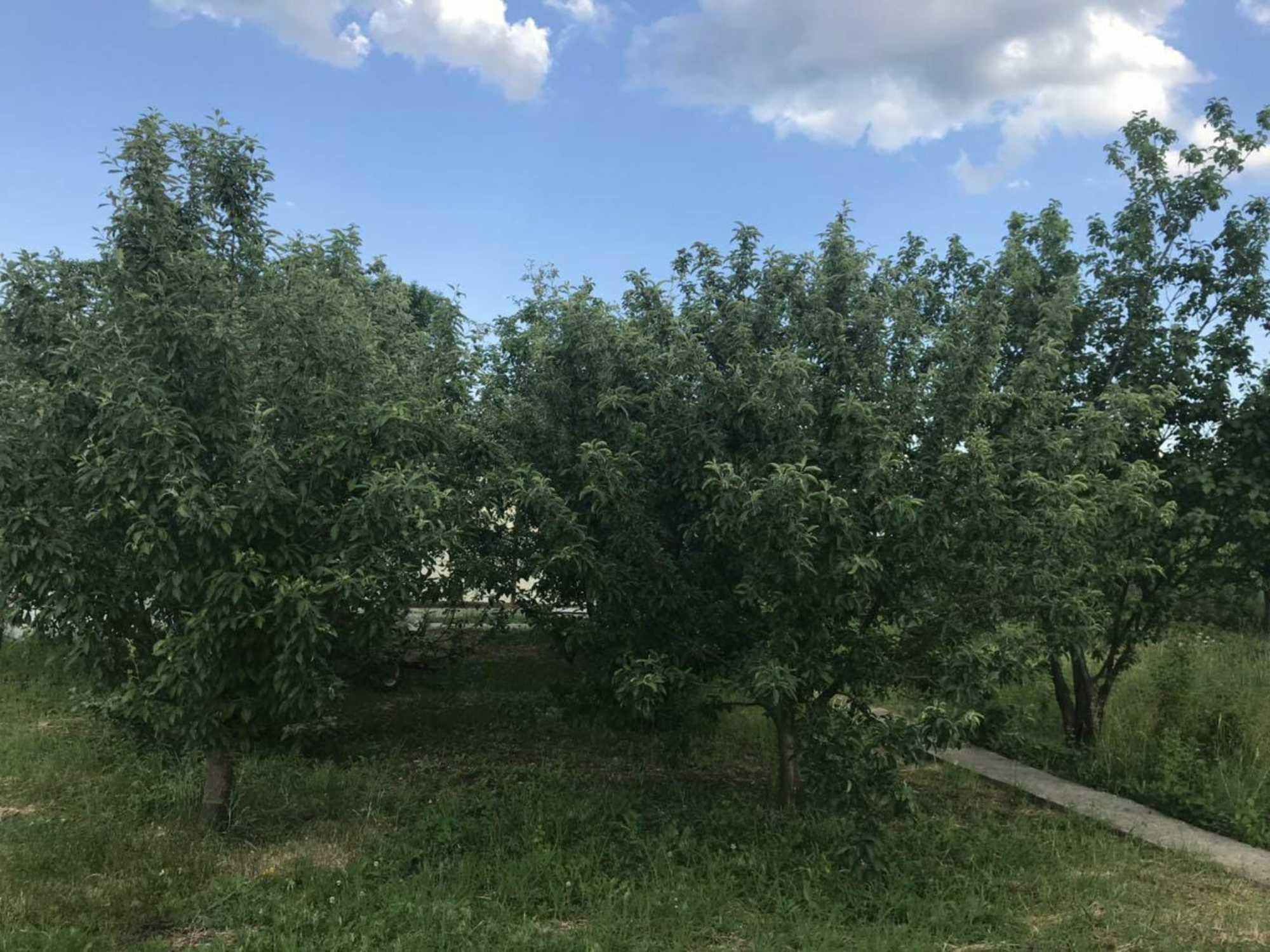 Купить дачу, дом, коттедж за 600 000 рублей на СНТ Сигнал-3