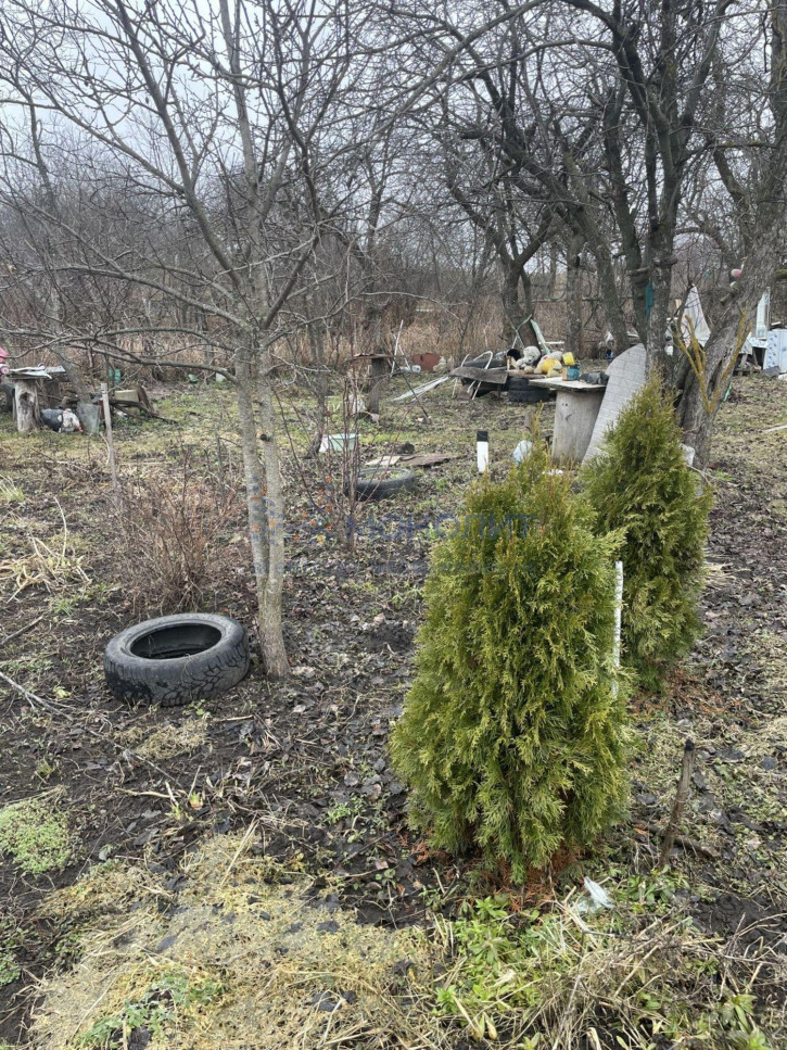 Земельный участок кужутки