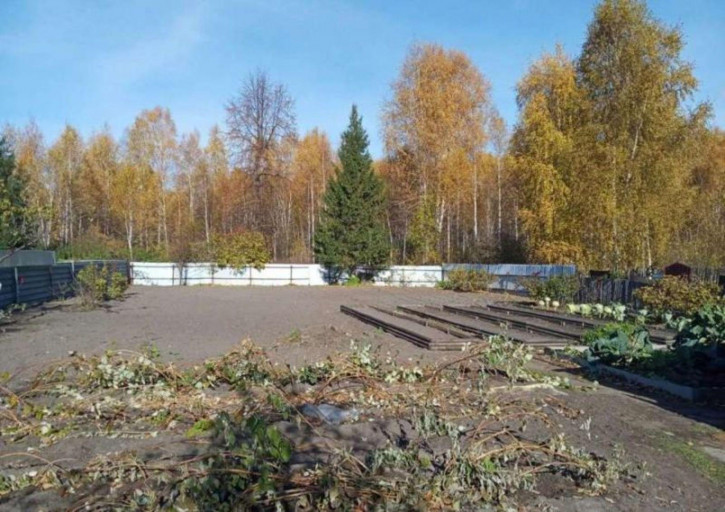 Коттедж/дом Облепиховое с/о