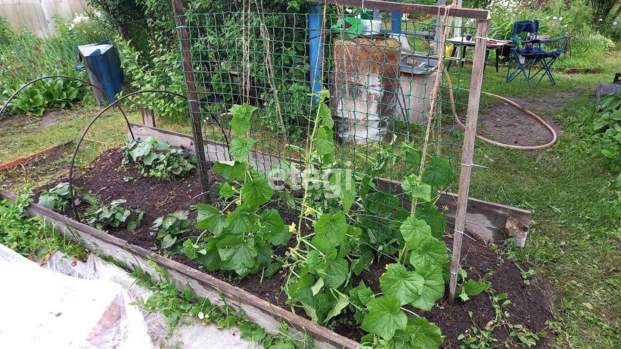 Купить дачу, дом, коттедж за 3 250 000 рублей на Маяк с/о