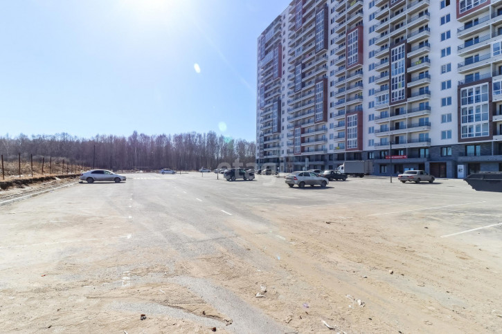 1-комн квартира Александра Пушкина, 16